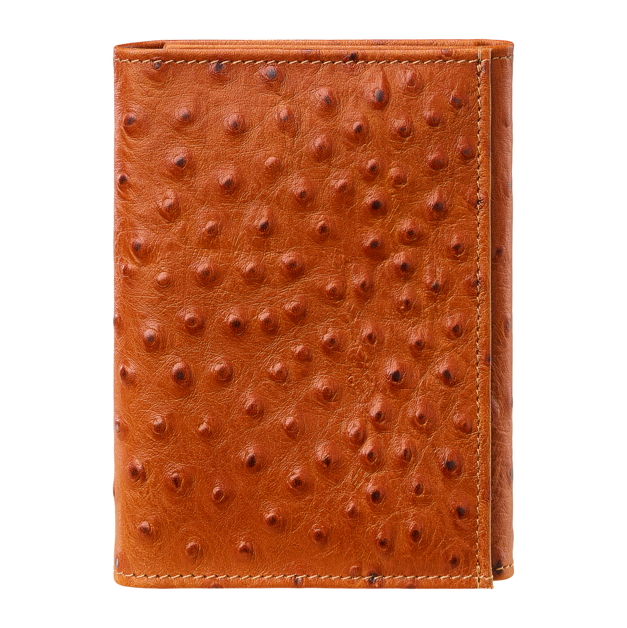 Leather: Limited Edition, Color: Ostritch Light Brown, Closed